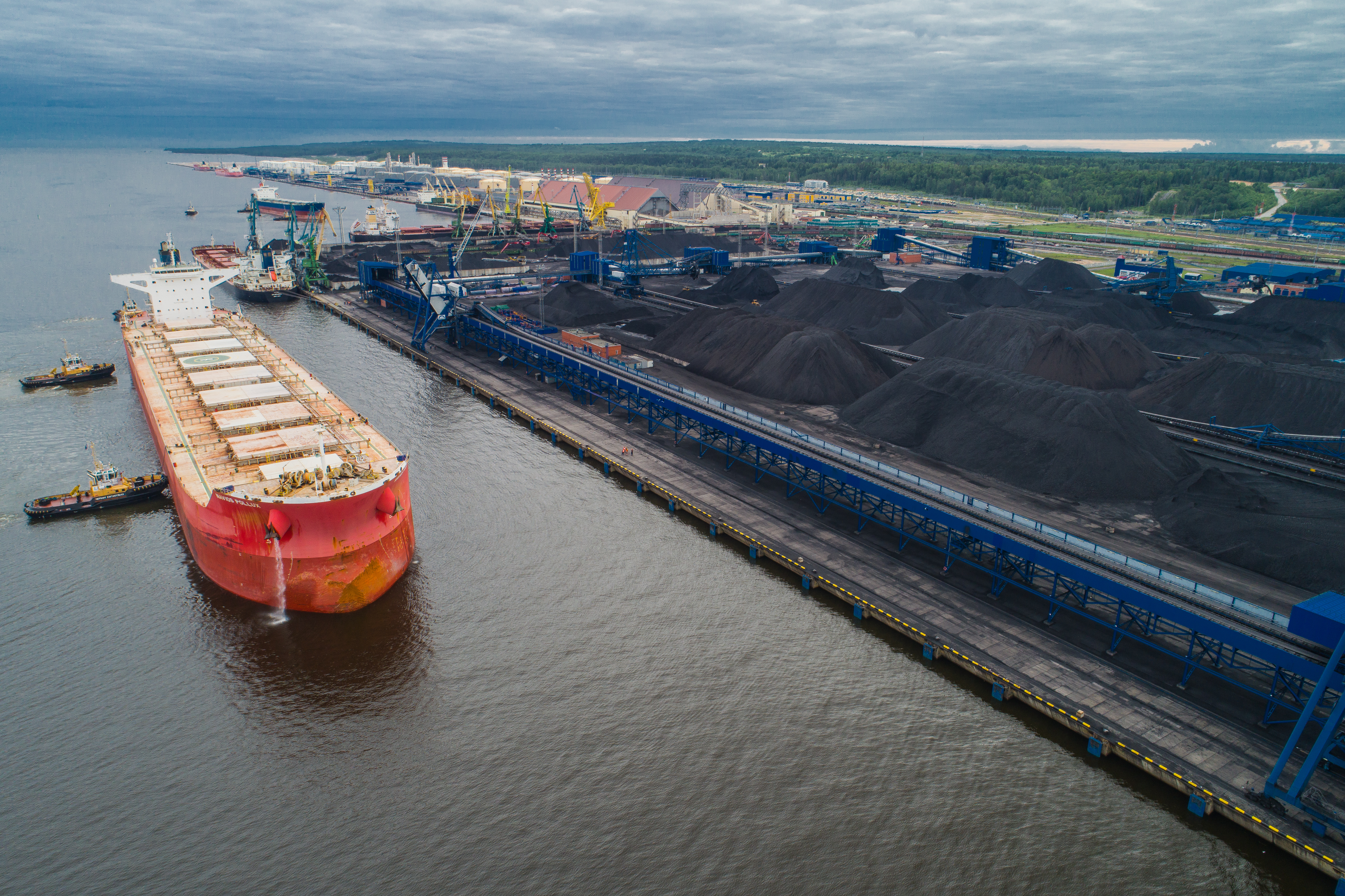 «Ростерминалуголь» погрузил 11-миллионную тонну угля с начала года на крупнейшее судно в истории морского порта Усть-Луга